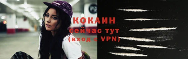 СК Сосновый Бор