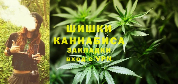 молекула духа Сясьстрой