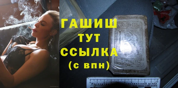 молекула духа Сясьстрой
